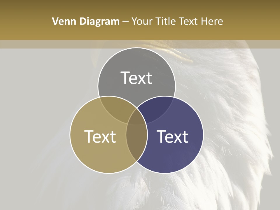 Alaska Predator Bird PowerPoint Template