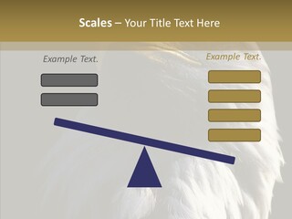 Alaska Predator Bird PowerPoint Template