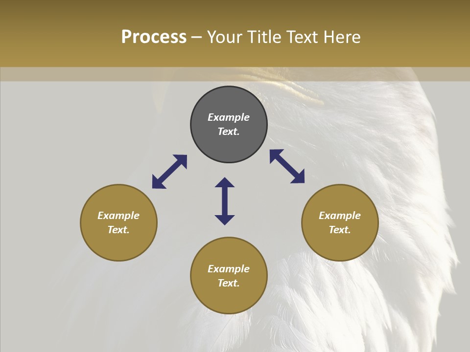 Alaska Predator Bird PowerPoint Template