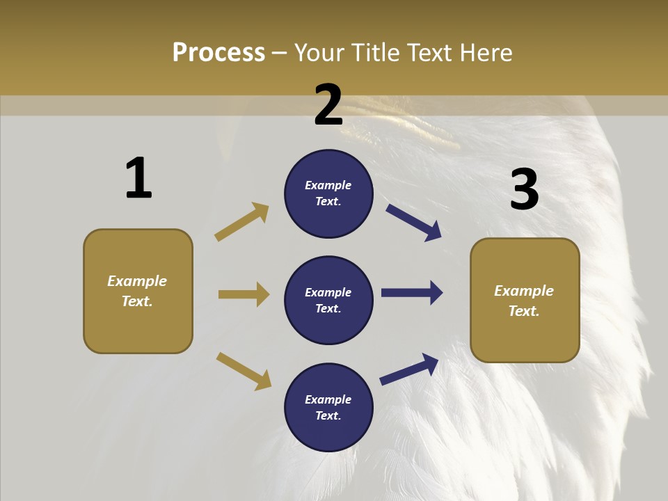 Alaska Predator Bird PowerPoint Template