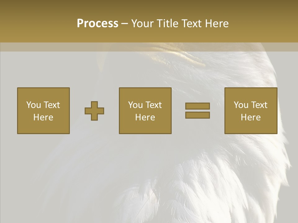 Alaska Predator Bird PowerPoint Template