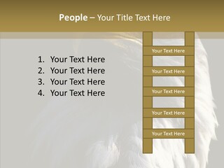 Alaska Predator Bird PowerPoint Template