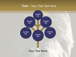 Alaska Predator Bird PowerPoint Template