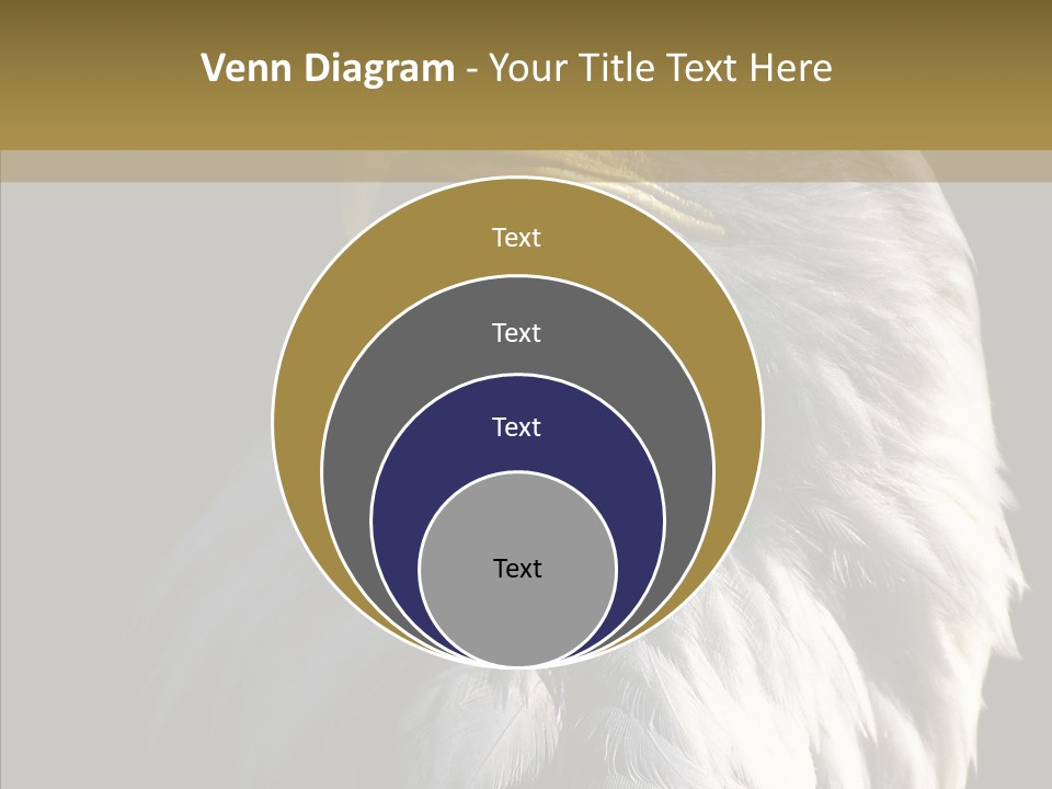 Alaska Predator Bird PowerPoint Template