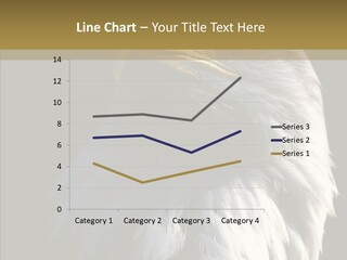 Alaska Predator Bird PowerPoint Template