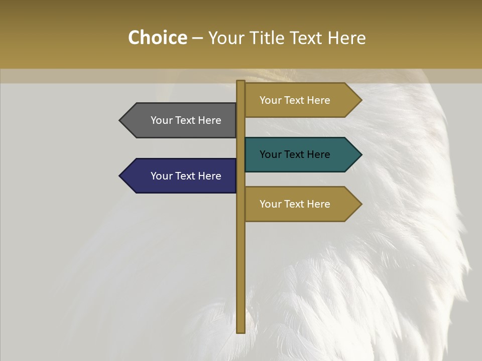 Alaska Predator Bird PowerPoint Template