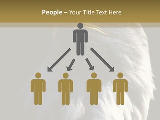 Alaska Predator Bird PowerPoint Template