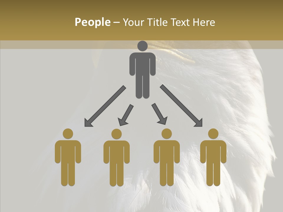 Alaska Predator Bird PowerPoint Template