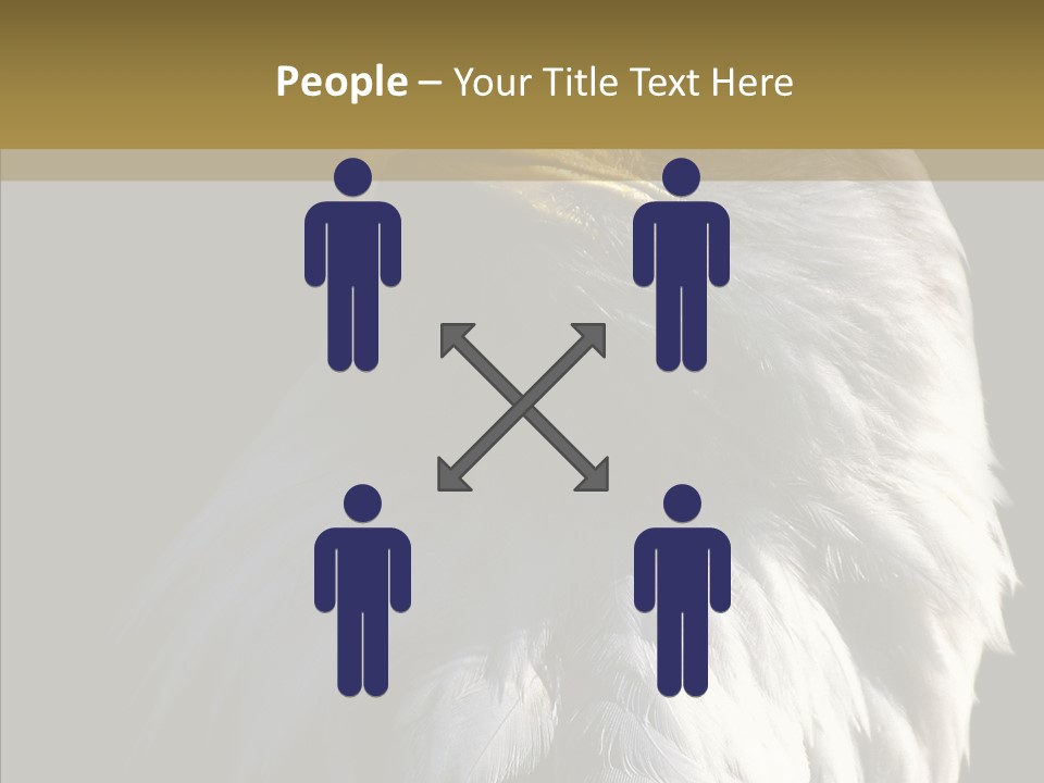 Alaska Predator Bird PowerPoint Template