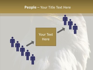 Alaska Predator Bird PowerPoint Template