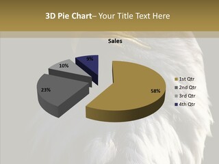 Alaska Predator Bird PowerPoint Template