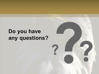 Alaska Predator Bird PowerPoint Template