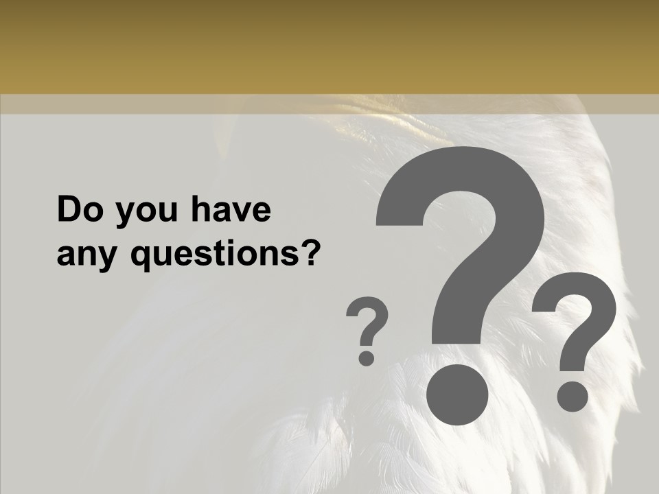 Alaska Predator Bird PowerPoint Template