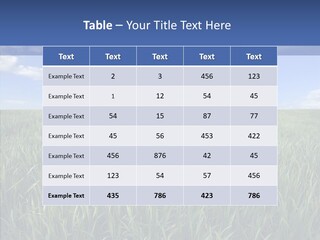 Together Corporate Teamwork PowerPoint Template