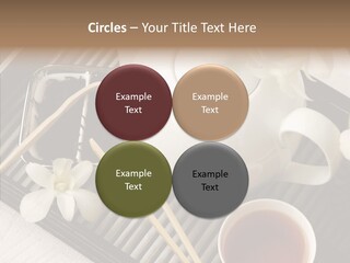 Li Ten Trategy Human PowerPoint Template