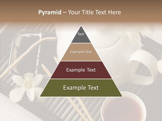 Li Ten Trategy Human PowerPoint Template