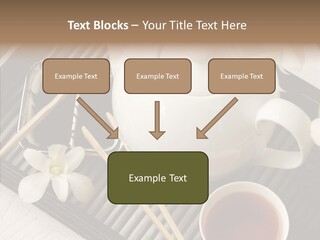 Li Ten Trategy Human PowerPoint Template