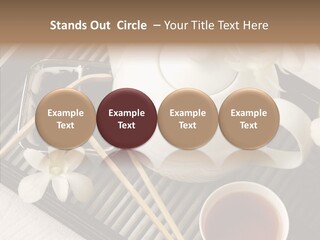 Li Ten Trategy Human PowerPoint Template