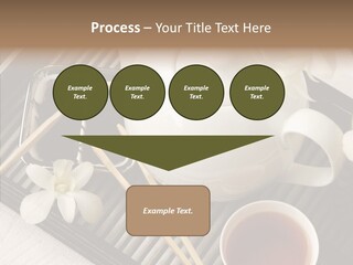 Li Ten Trategy Human PowerPoint Template