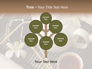 Li Ten Trategy Human PowerPoint Template