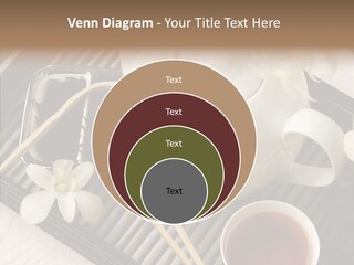 Li Ten Trategy Human PowerPoint Template