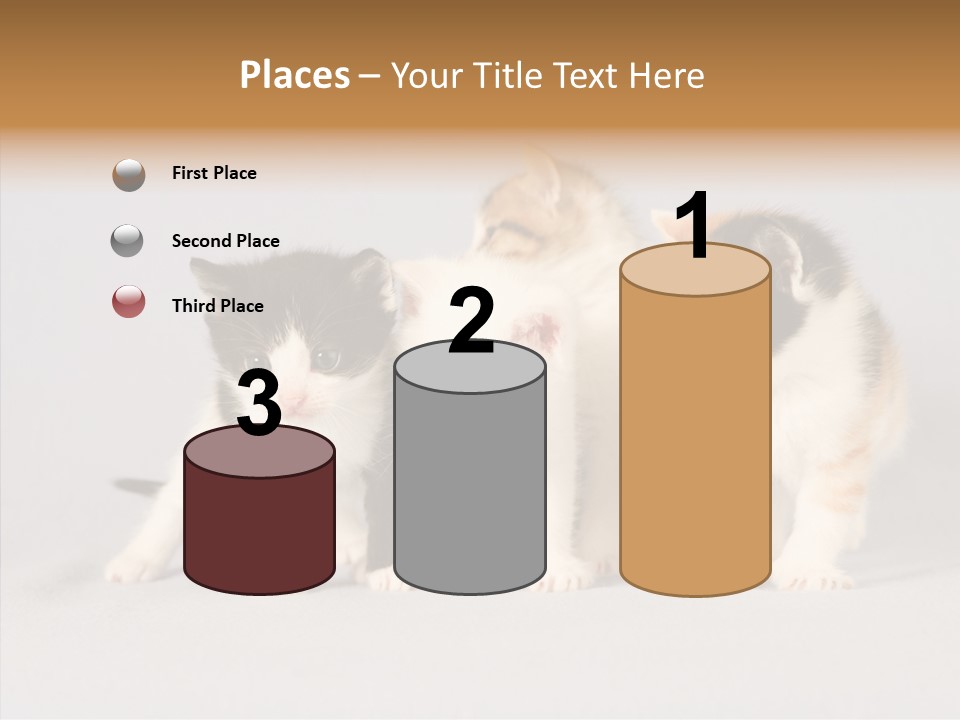 Kitten Soft Feline PowerPoint Template