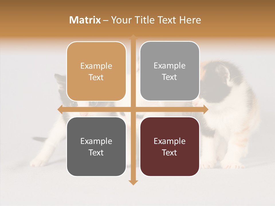 Kitten Soft Feline PowerPoint Template