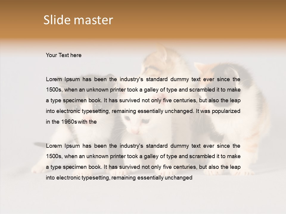 Kitten Soft Feline PowerPoint Template