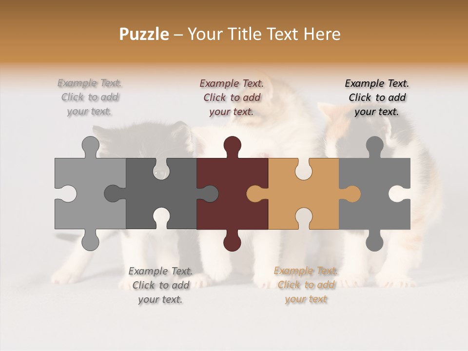 Kitten Soft Feline PowerPoint Template