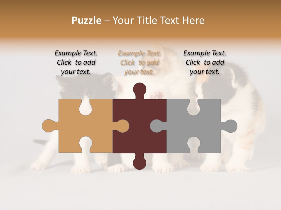 Kitten Soft Feline PowerPoint Template