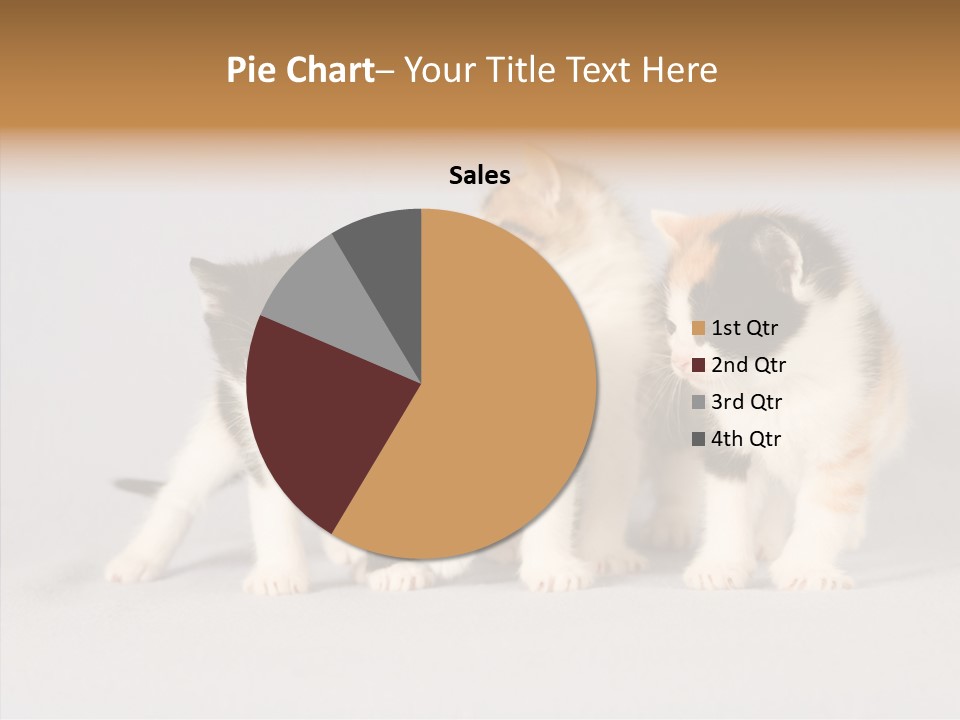 Kitten Soft Feline PowerPoint Template