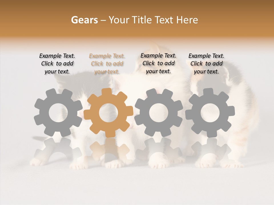 Kitten Soft Feline PowerPoint Template