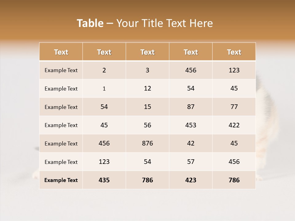 Kitten Soft Feline PowerPoint Template