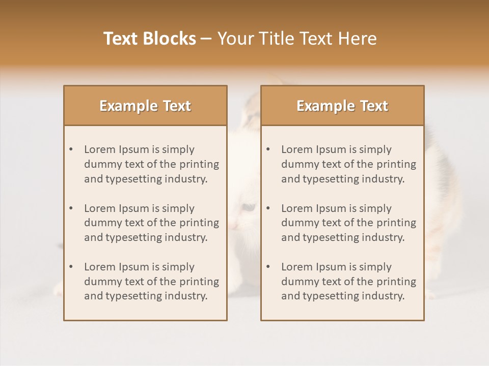 Kitten Soft Feline PowerPoint Template