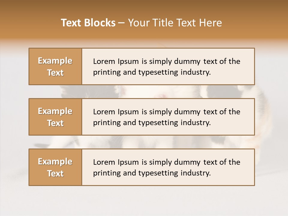 Kitten Soft Feline PowerPoint Template
