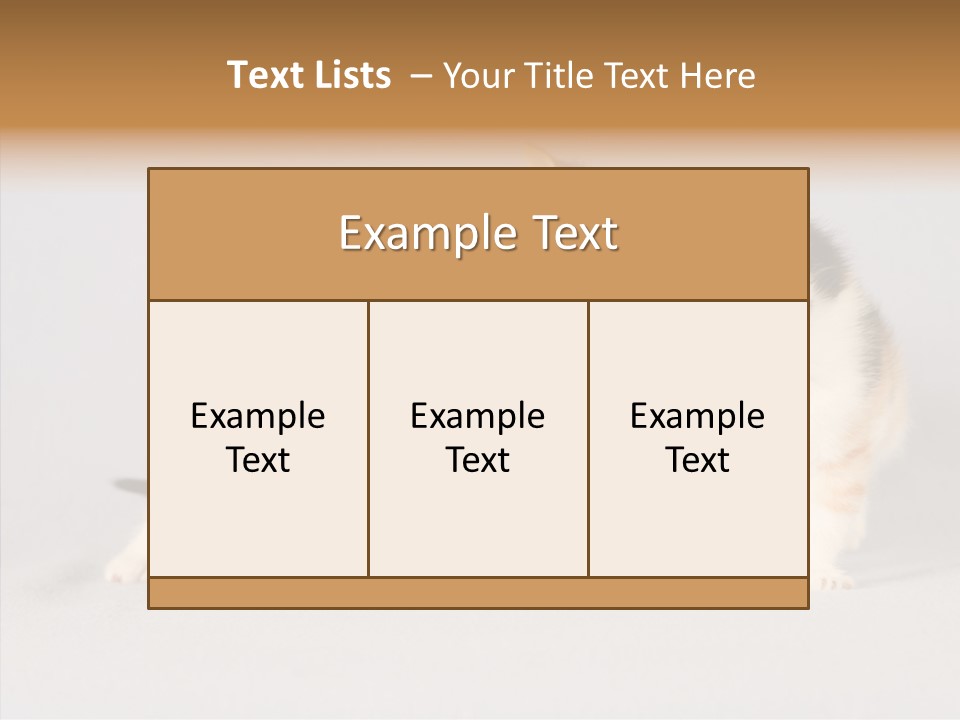 Kitten Soft Feline PowerPoint Template