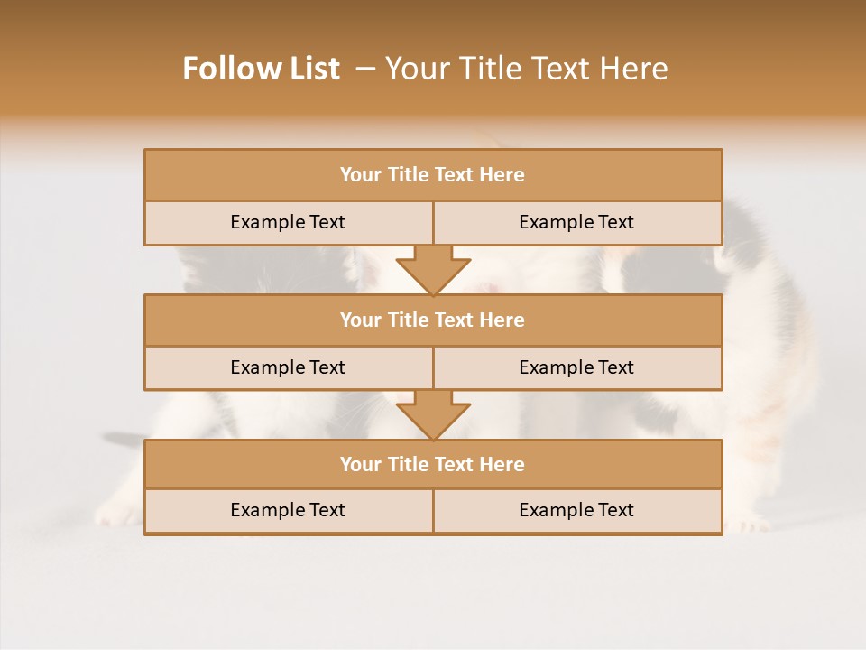 Kitten Soft Feline PowerPoint Template