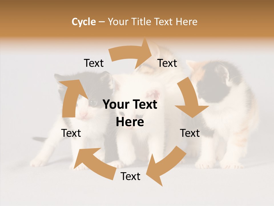 Kitten Soft Feline PowerPoint Template