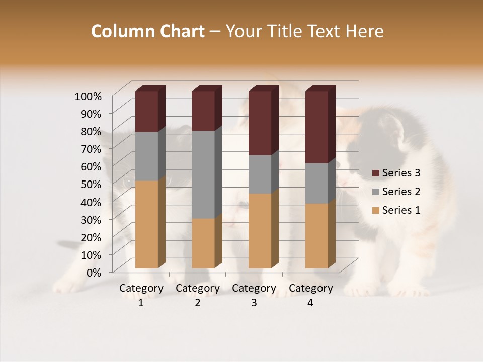 Kitten Soft Feline PowerPoint Template