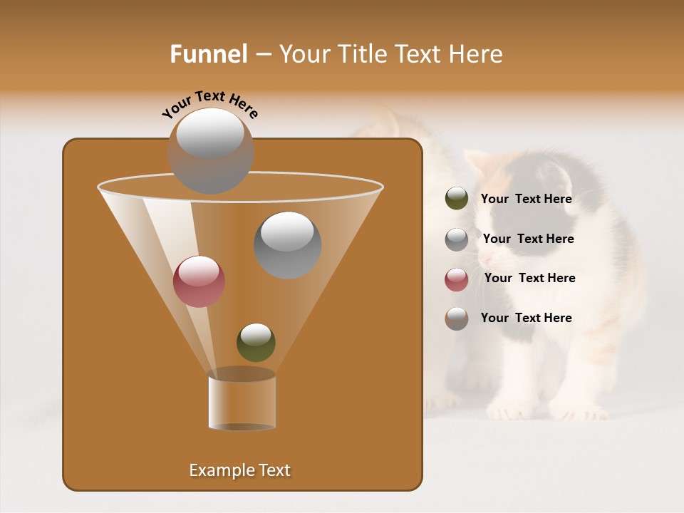 Kitten Soft Feline PowerPoint Template