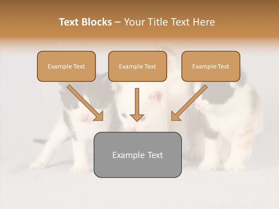 Kitten Soft Feline PowerPoint Template