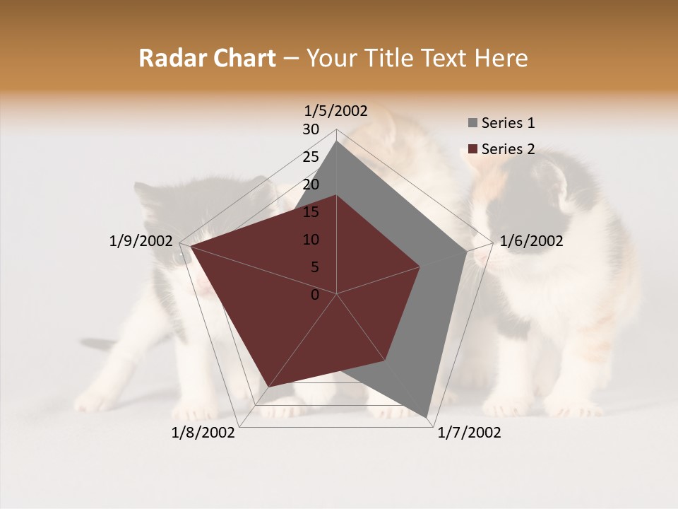 Kitten Soft Feline PowerPoint Template