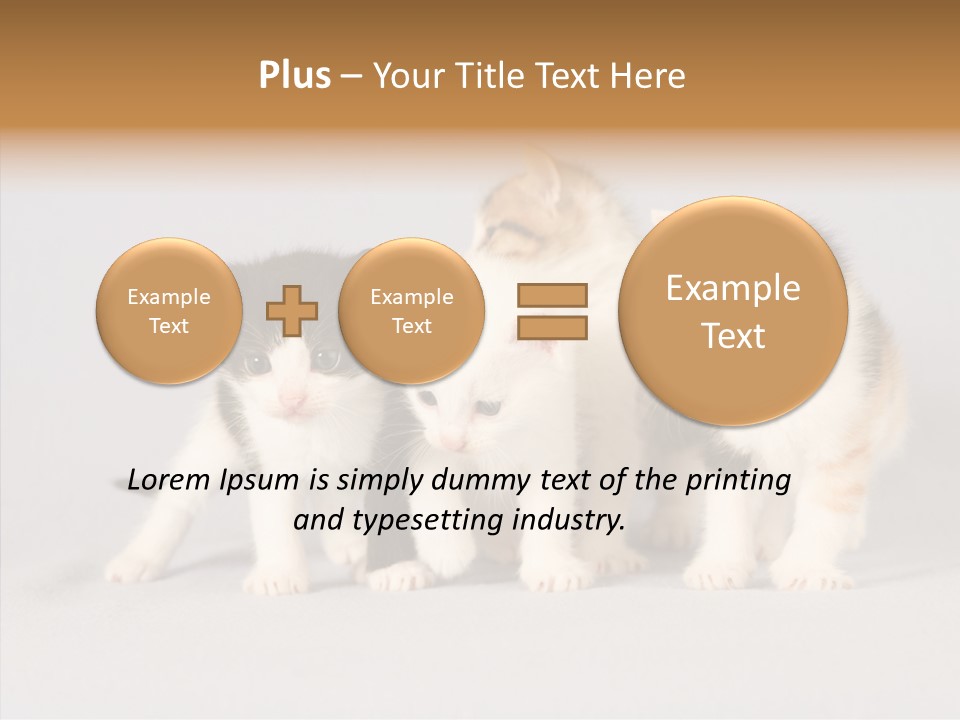 Kitten Soft Feline PowerPoint Template