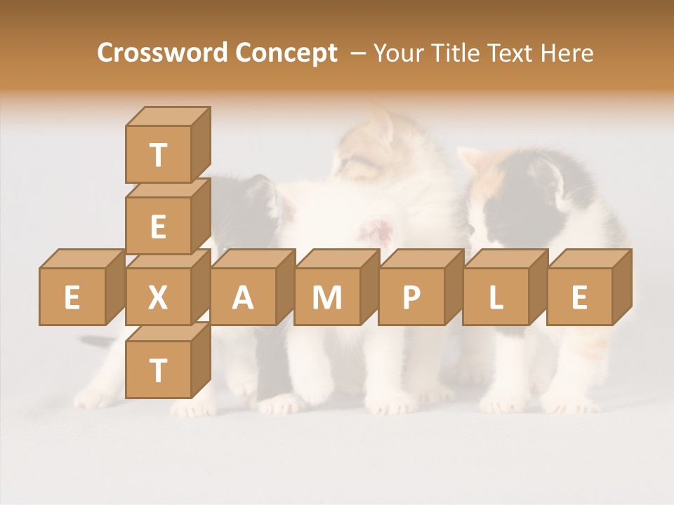 Kitten Soft Feline PowerPoint Template