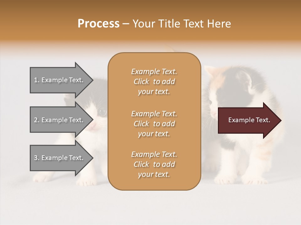 Kitten Soft Feline PowerPoint Template