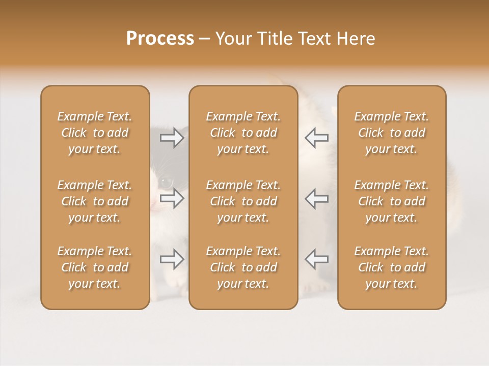 Kitten Soft Feline PowerPoint Template