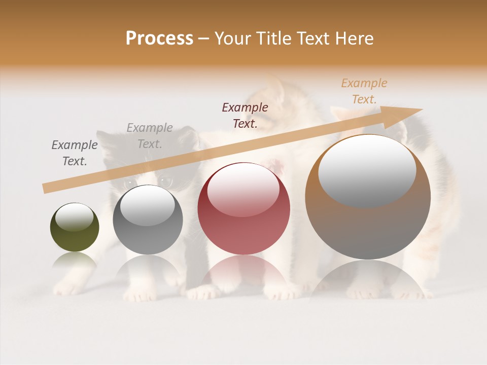 Kitten Soft Feline PowerPoint Template