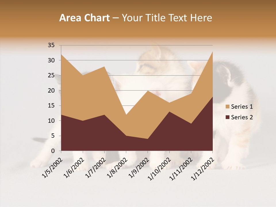 Kitten Soft Feline PowerPoint Template
