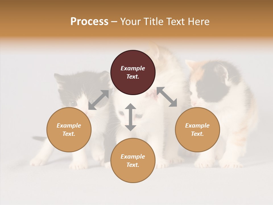 Kitten Soft Feline PowerPoint Template