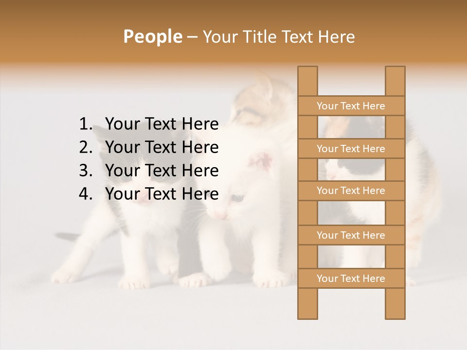 Kitten Soft Feline PowerPoint Template